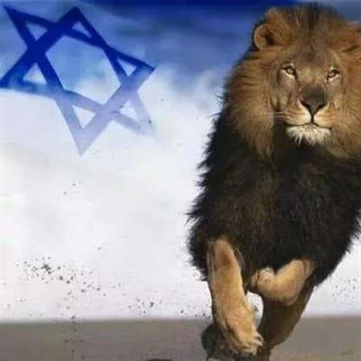 דוודיאן בנימין מהנדס מכונות בהתמחות רכב
