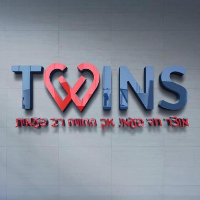 Twins trading ltd