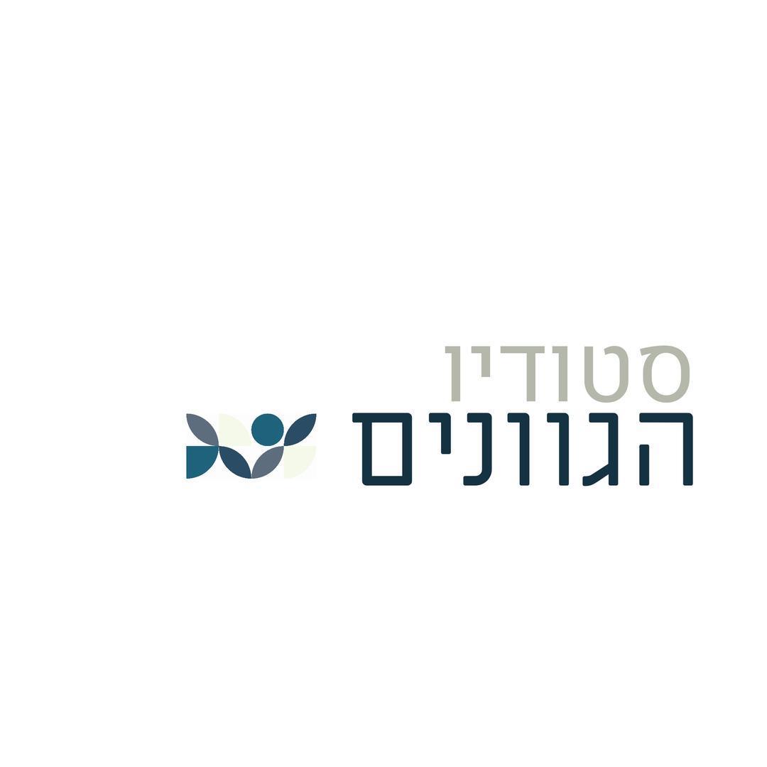 סטודיו הגוונים