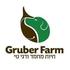 גרובר פארם