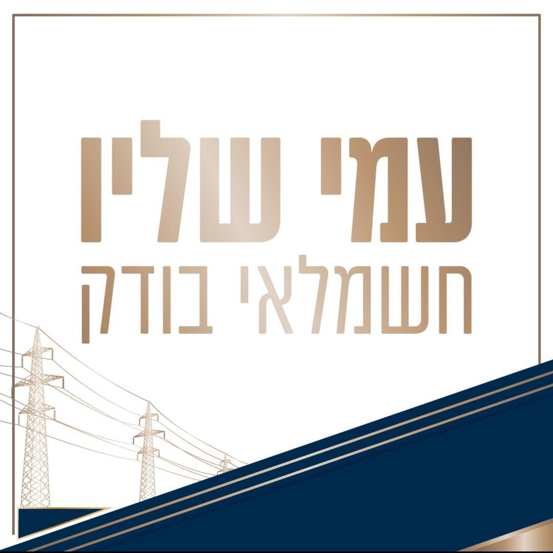 עמי שליו-בדיקות מתקני חשמל