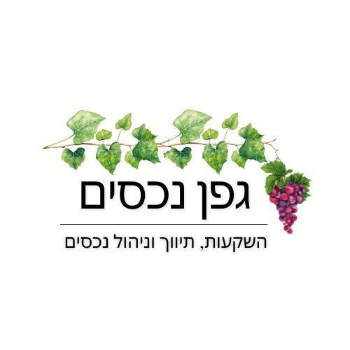 גפן נכסים