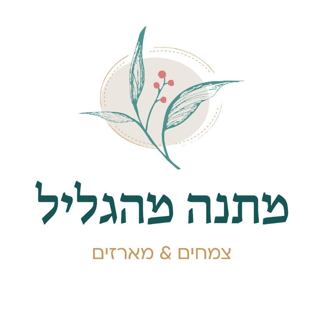 מתנה מהגליל