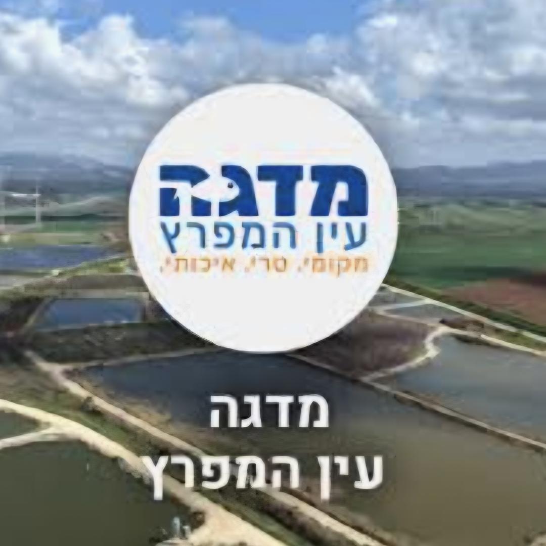 הדייג הנהג מדגה עין המפרץ
