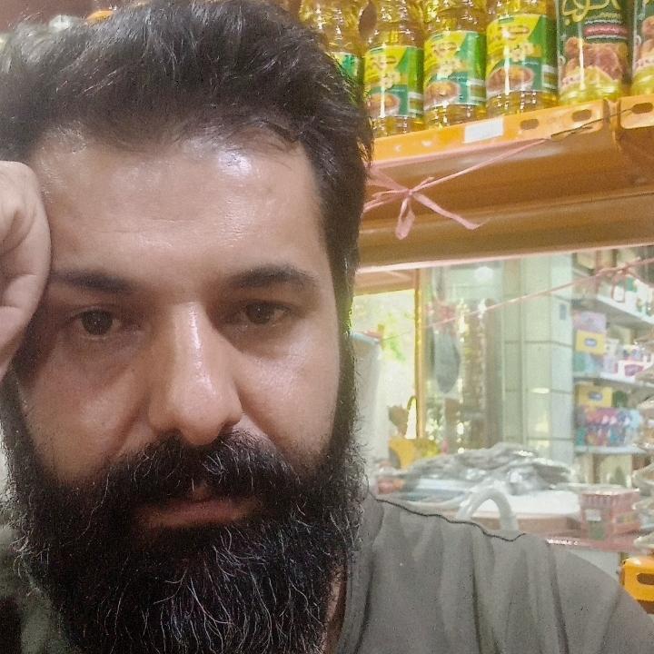 پخش زنجبیل و کلوچه یزدی