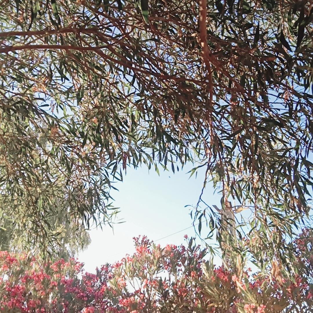 محاسبة