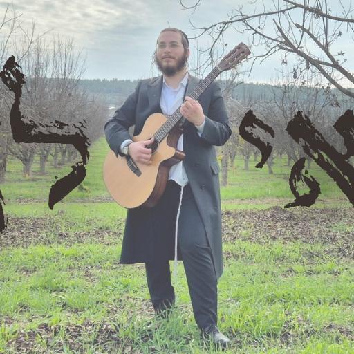 זמר ומלחין 🎤