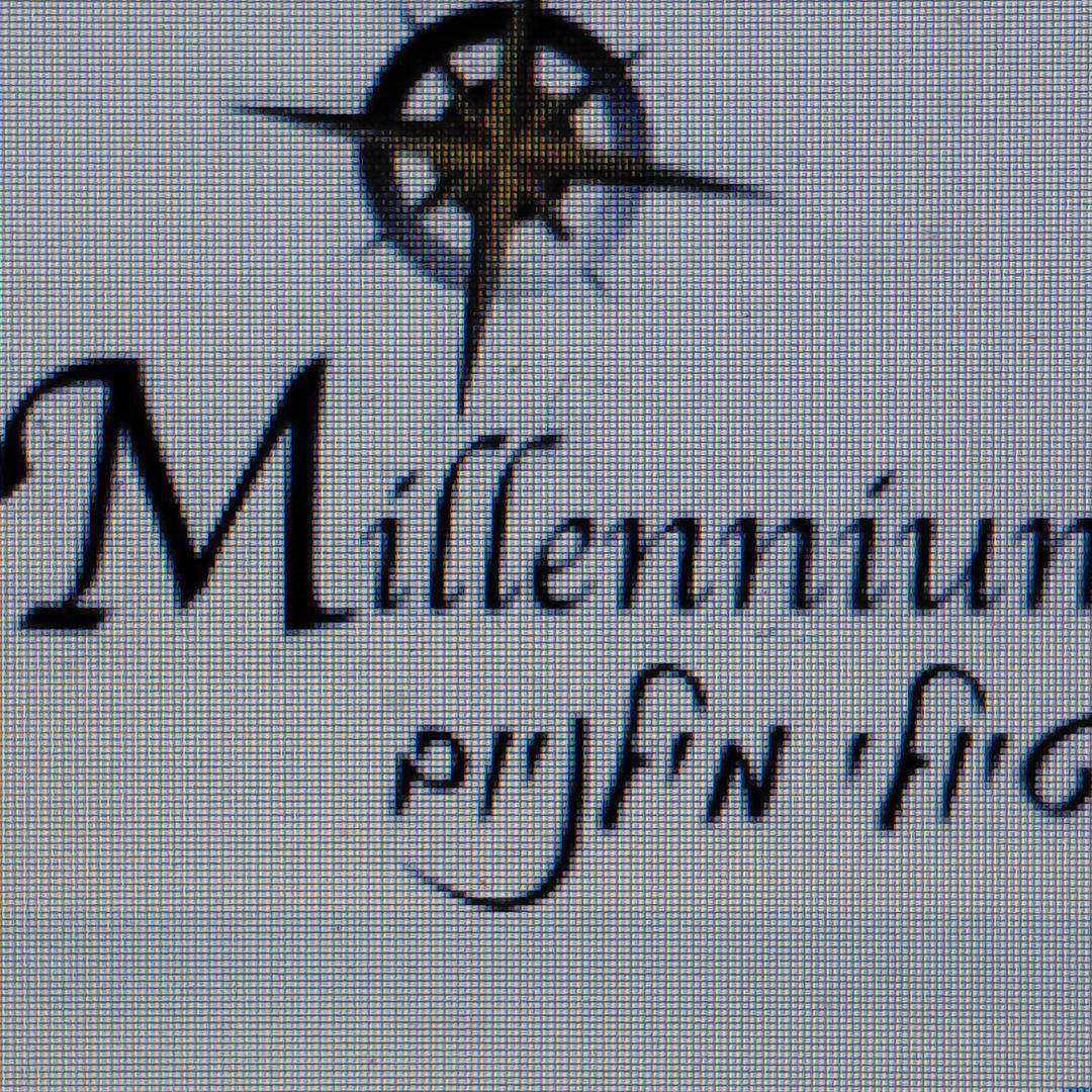 מילניום טיולים מאורגנים