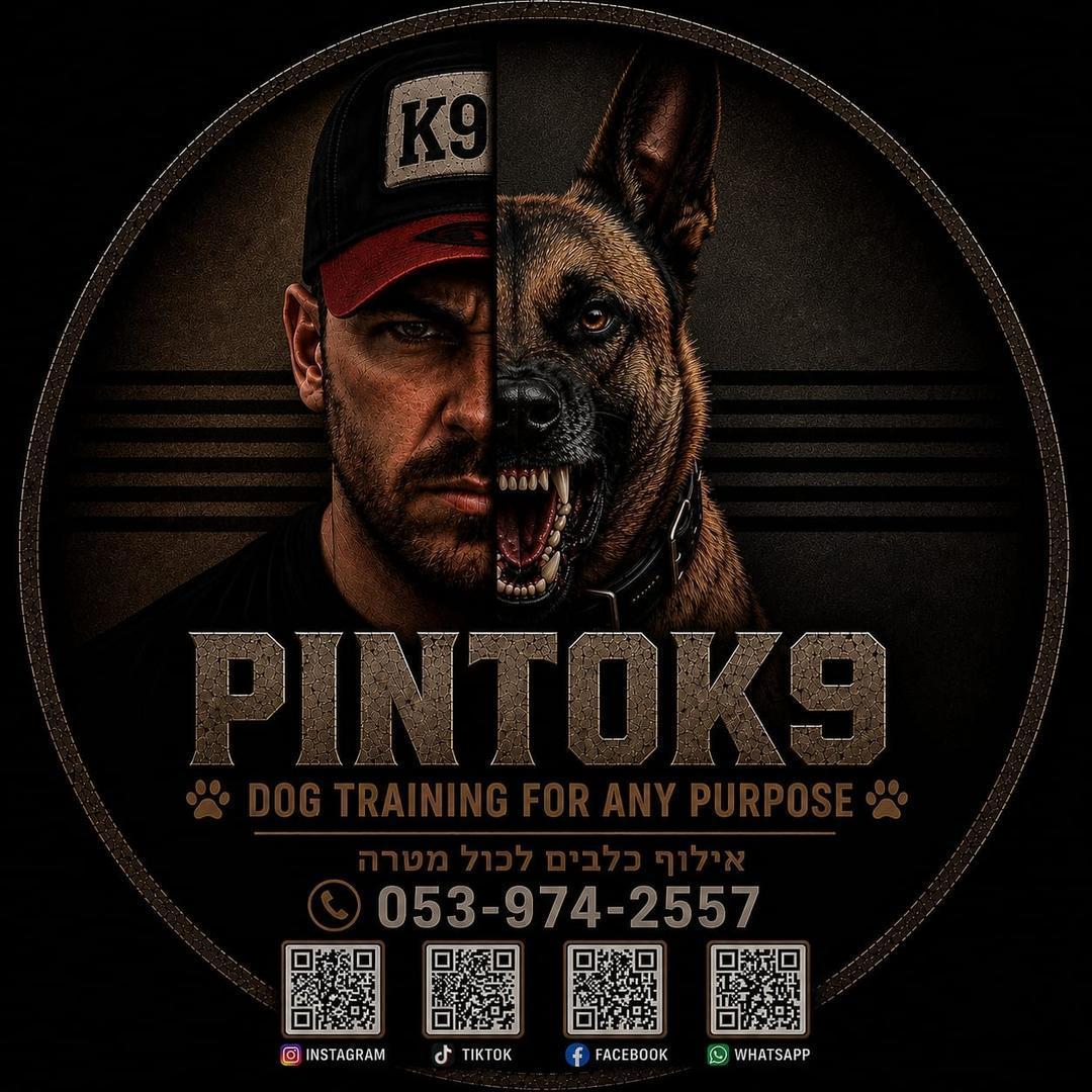 🐕‍🦺❤️🐊Ran Pinto פינטוקיו אילוף כלבים בניית גורים לכול מטרה