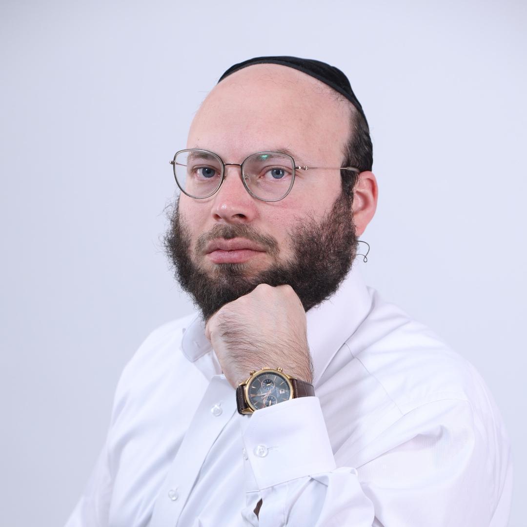 עורך דין מנדי רביץ