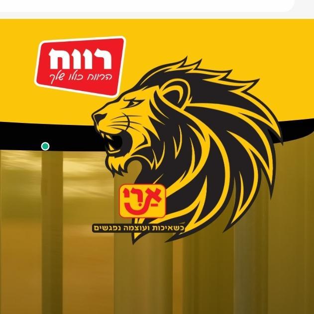 אור ויצמן שיווק ואחזקות בע"מ
