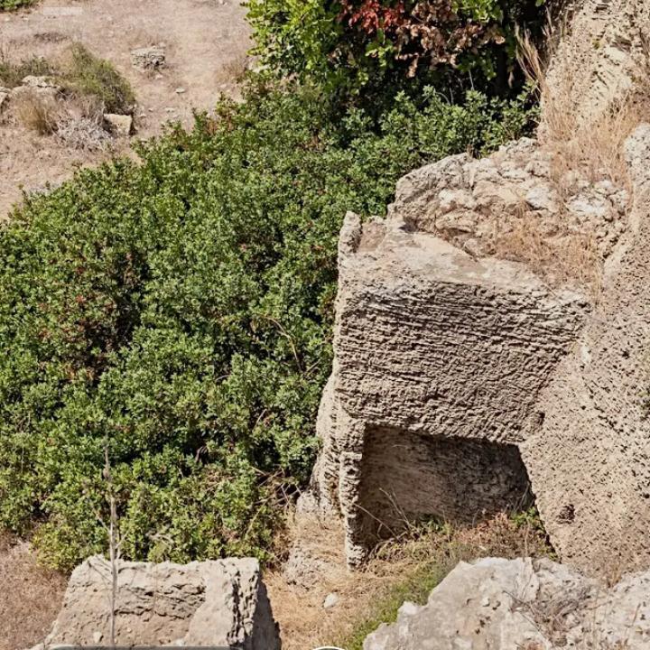 סתם עסק לעוד בדיקה