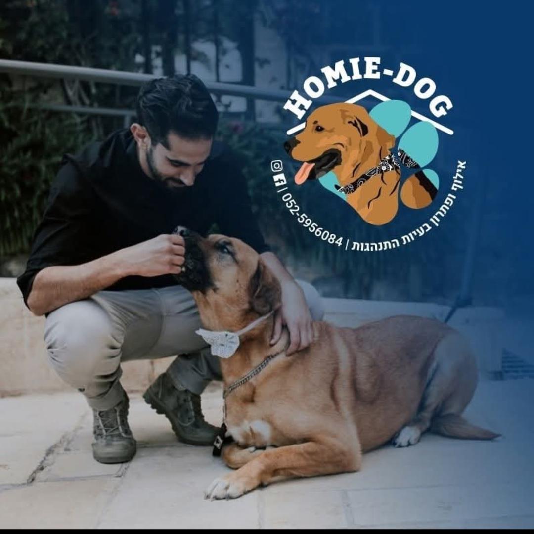 Homie dog אילוף כלבים וכלבנות טיפולית