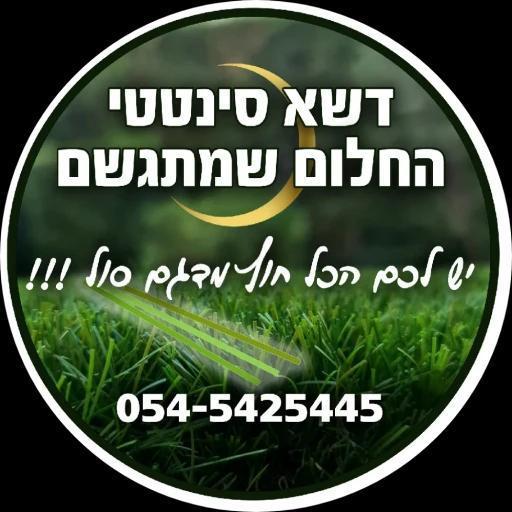 דשא סינטטי - החלום שמתגשם