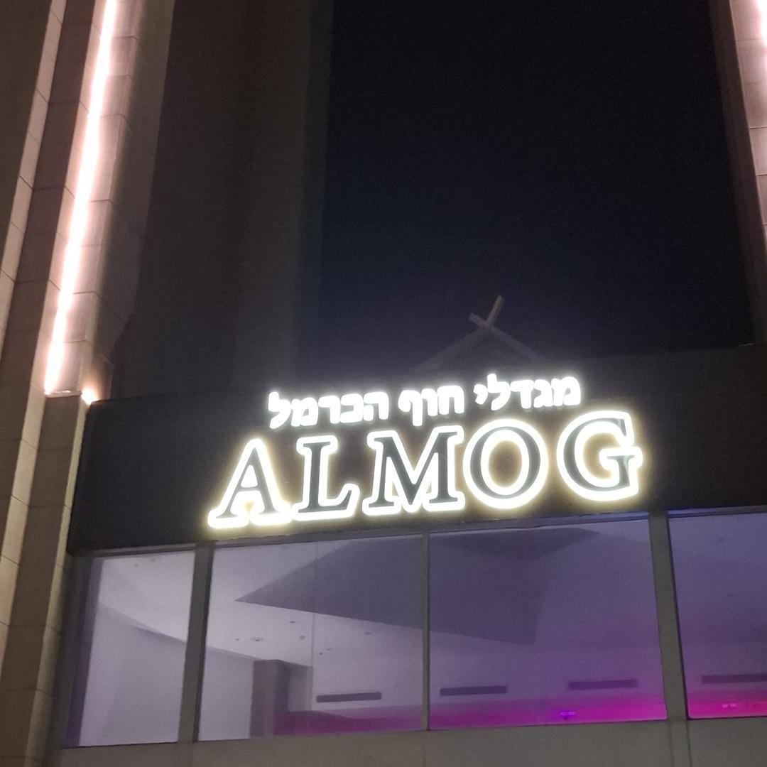 בניין אלמוג