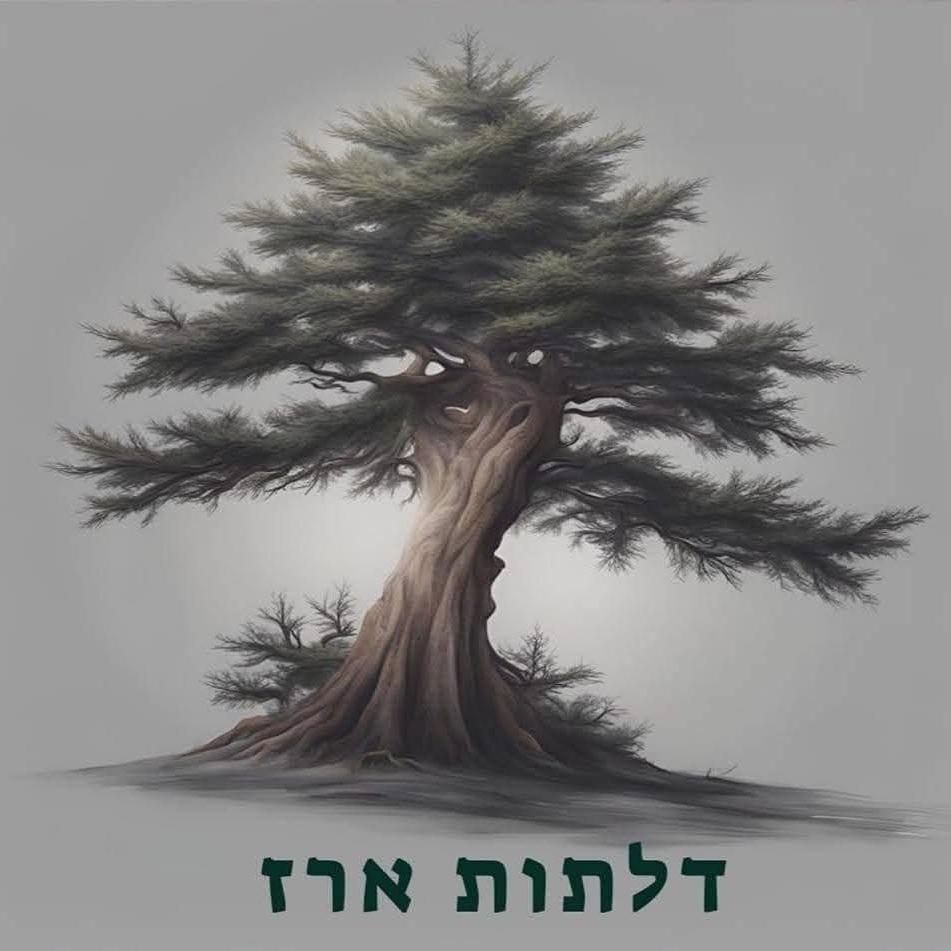 דלתות ארז