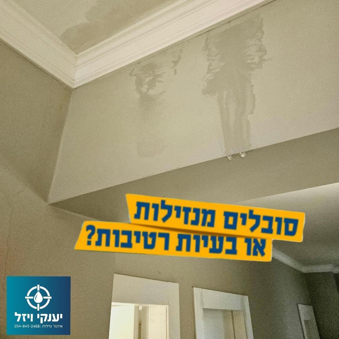 מומחה לאיתור נזילות