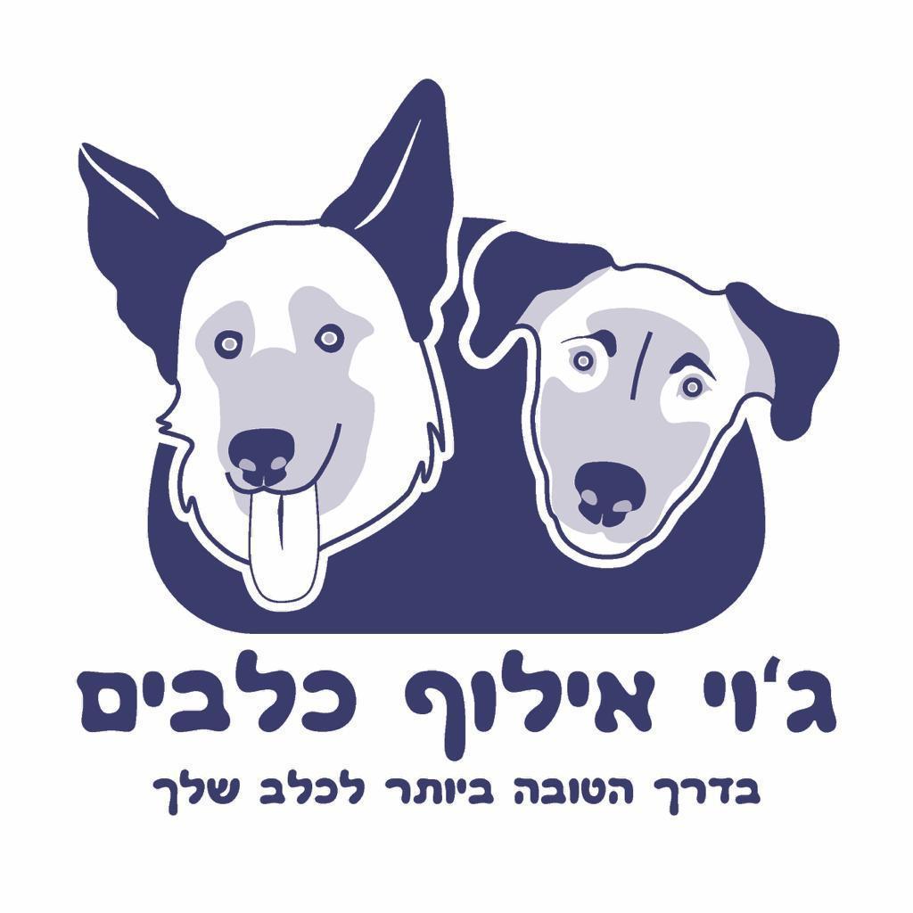 ג'וי אילוף כלבים