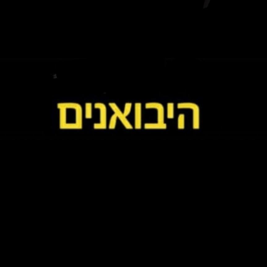 היבואנים מוצרי חשמל
