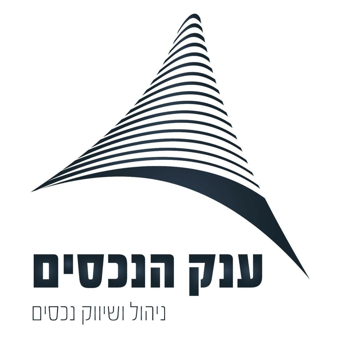 ענק הנכסים