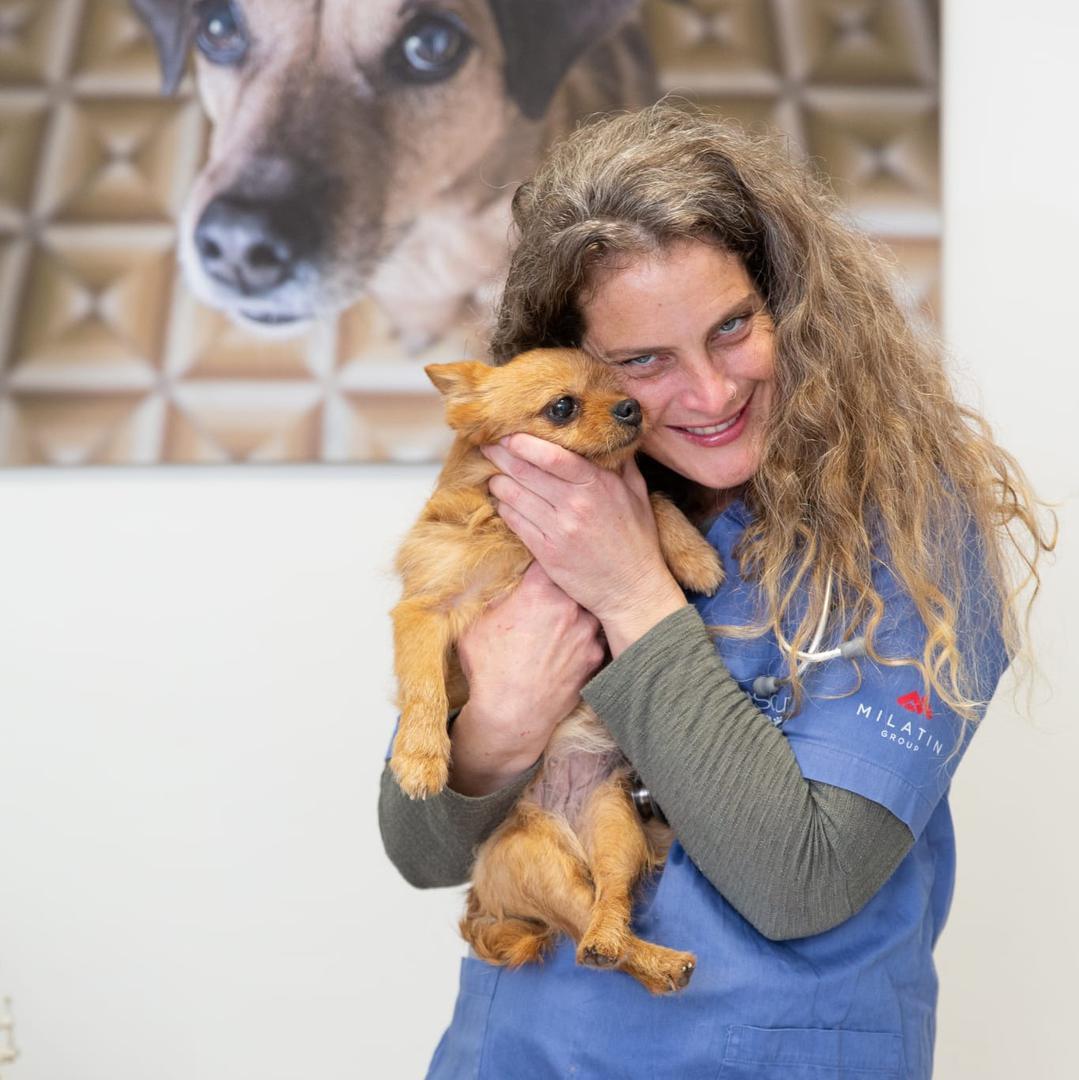 מרפאה לחיות בית באר יעקב