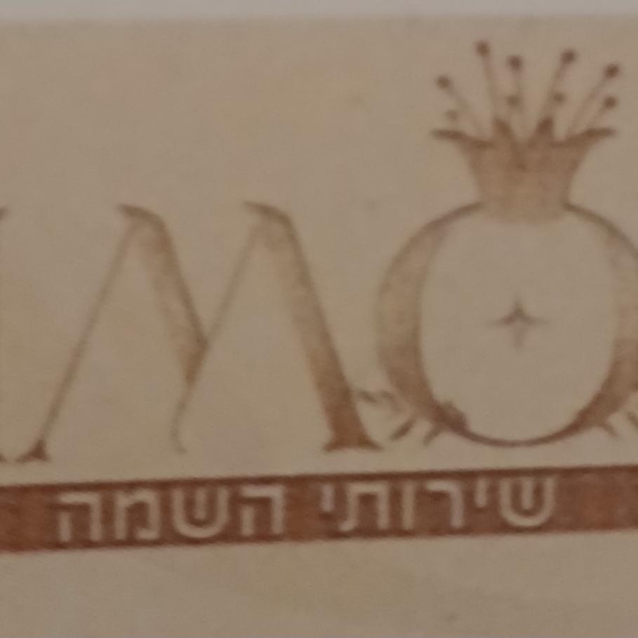 רימון שירותי השמה