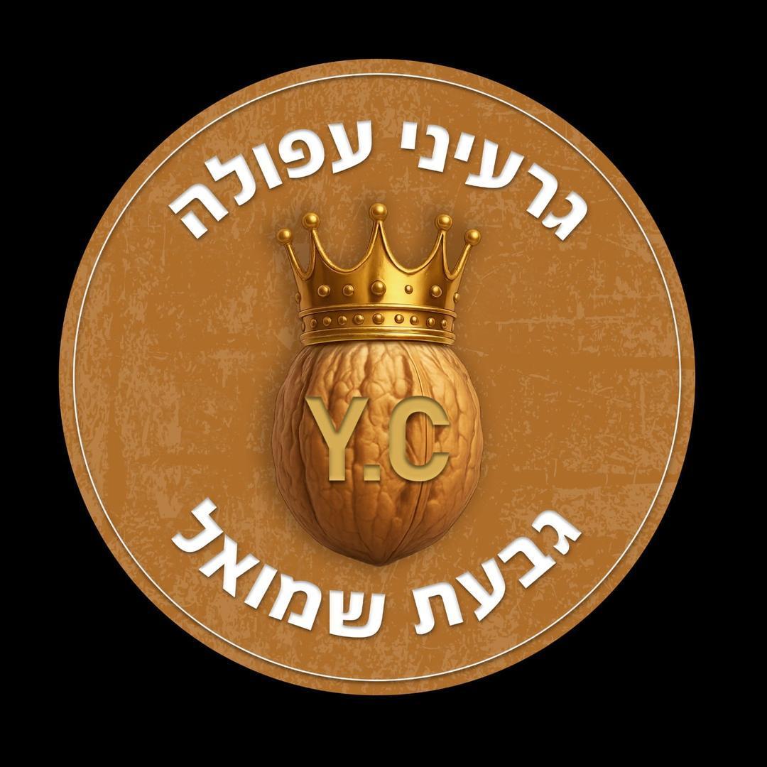גרעיני עפולה Y.C גבעת שמואל