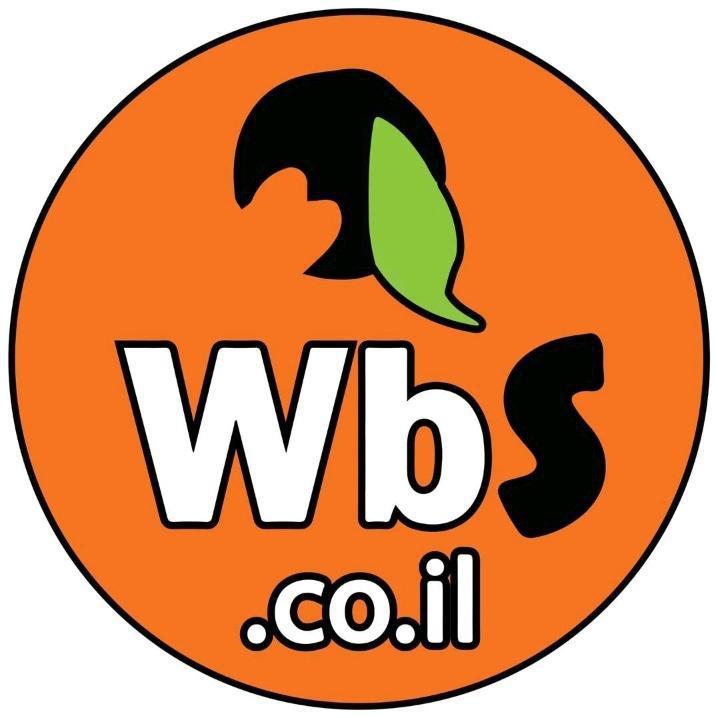 WBS LTD