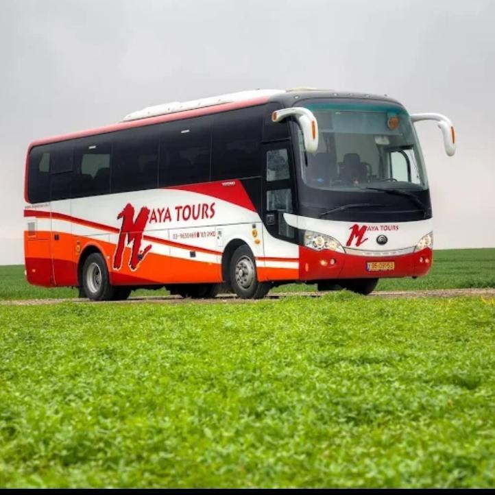 מאיה תור בע"מ