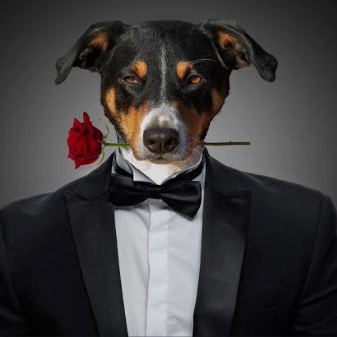 ariel312720210@gmail.com