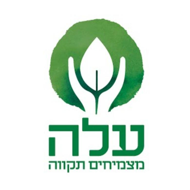 ערן מסילתי