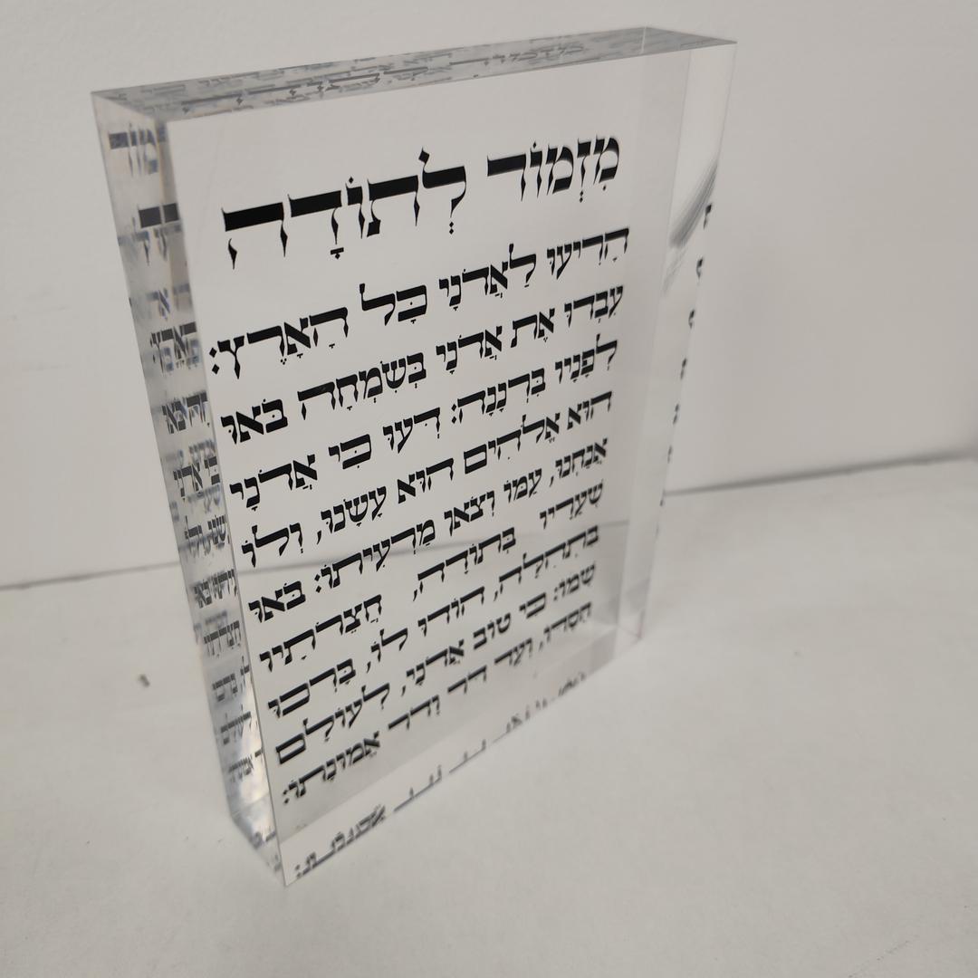 מעיין טווין ארט