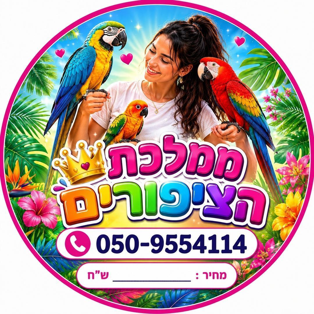 טרווליט חופשה חלומית עם אילנית