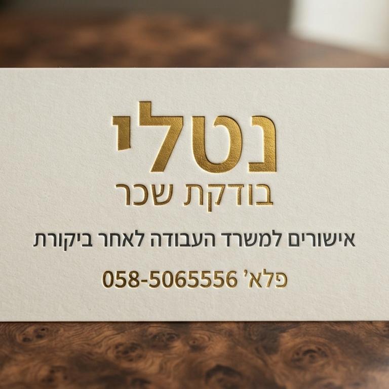בודקת שכר