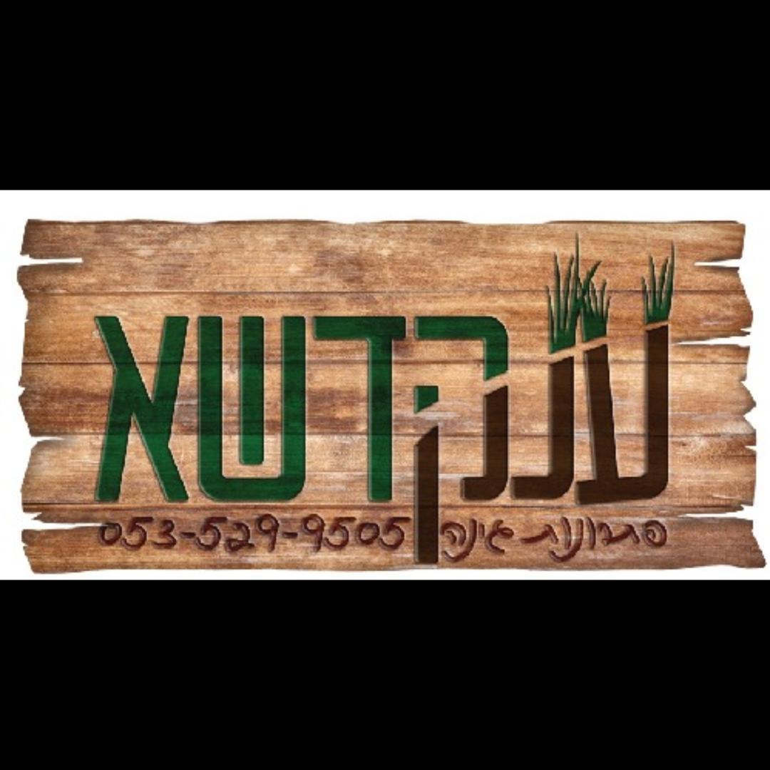 ענק הדשא