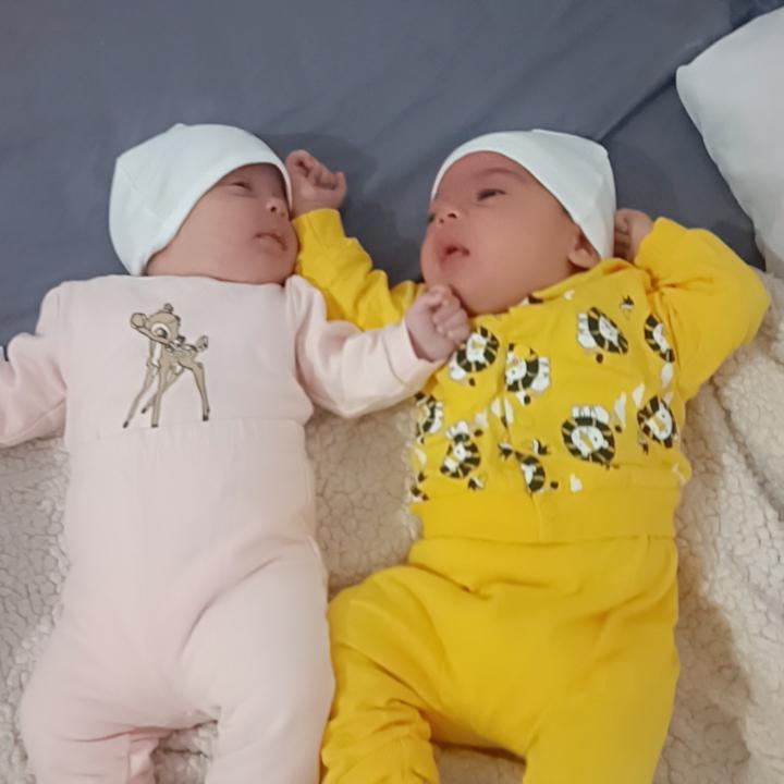 בראךס מפאשבאנך