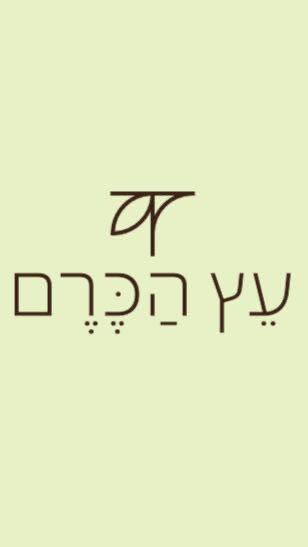 עץ הכרם