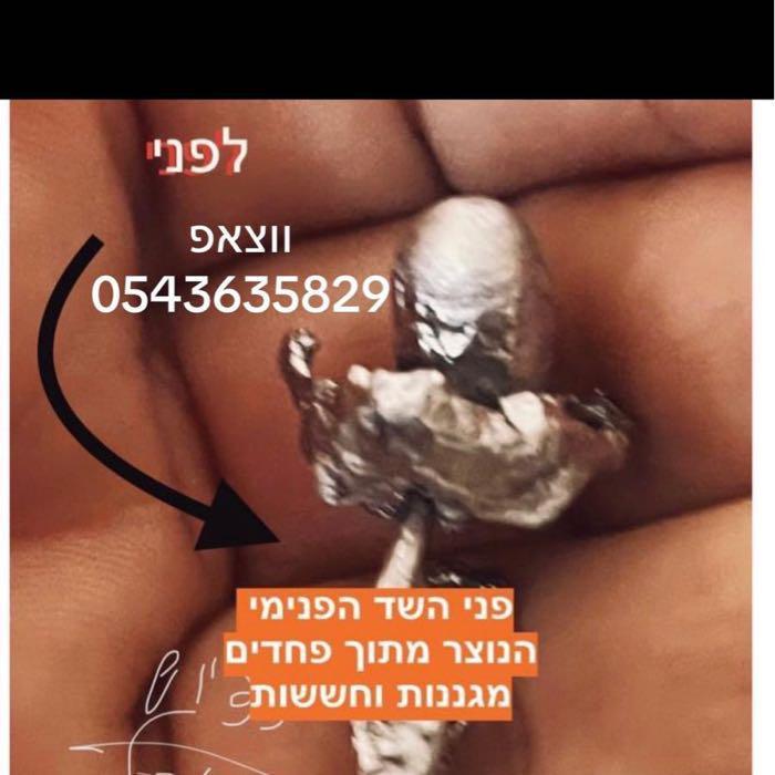מיסטיקה לכל מיסטיקה לכל