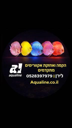 אקווה ליין אקווריומים לירן