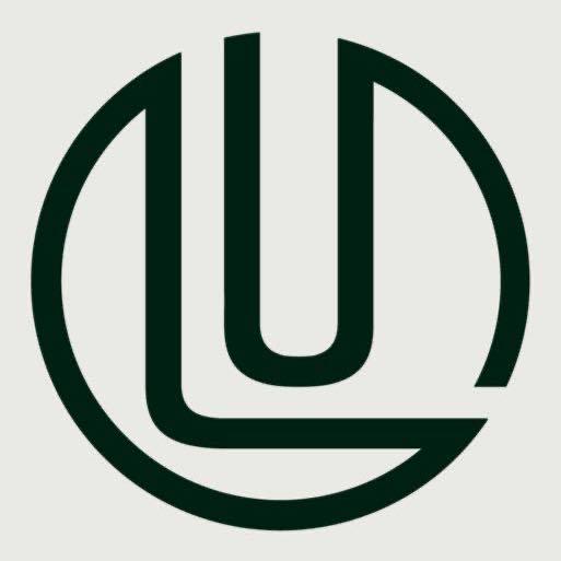 LEVEL UP STUDIO