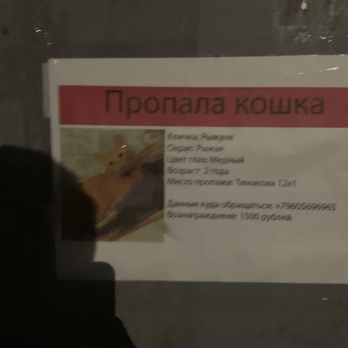 Матвей Цыганов