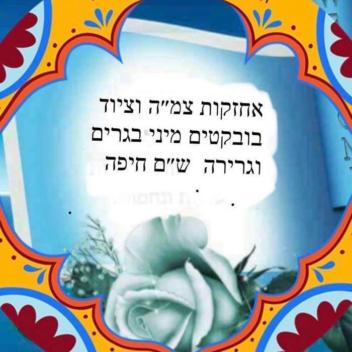 אחזקות צמ״ה וציוד נלווה