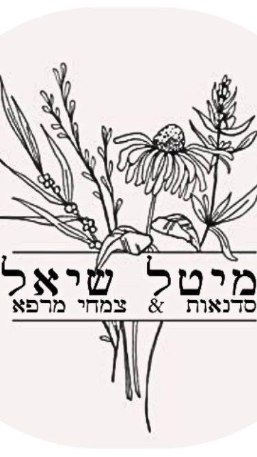 מיטל שיאל