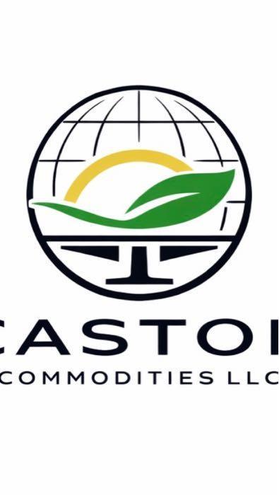 Castor commodities llc