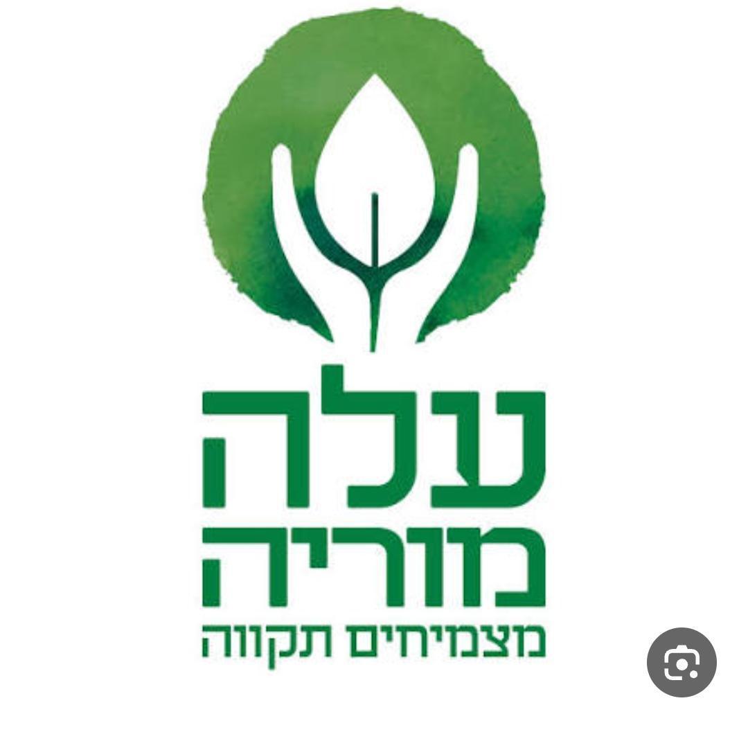 עמותת עלה