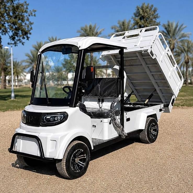 Dream Ride