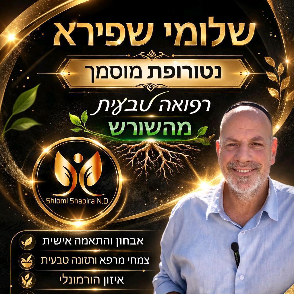 שלומי שפירא