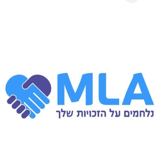מ.ל.ה פיננסים